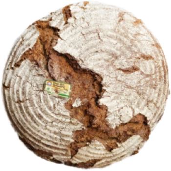 Pfister Öko-Walnussbrot 1500g
